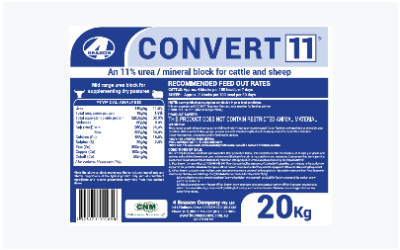 Convert 11