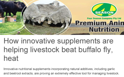 How innovative supplements are helping livestock beat buffalo fly, heat